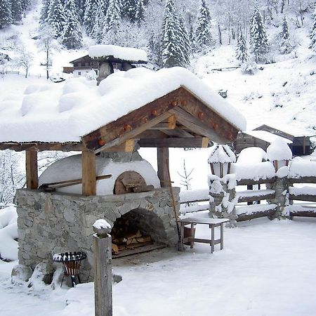 Der Klaushof Daire Mayrhofen Dış mekan fotoğraf
